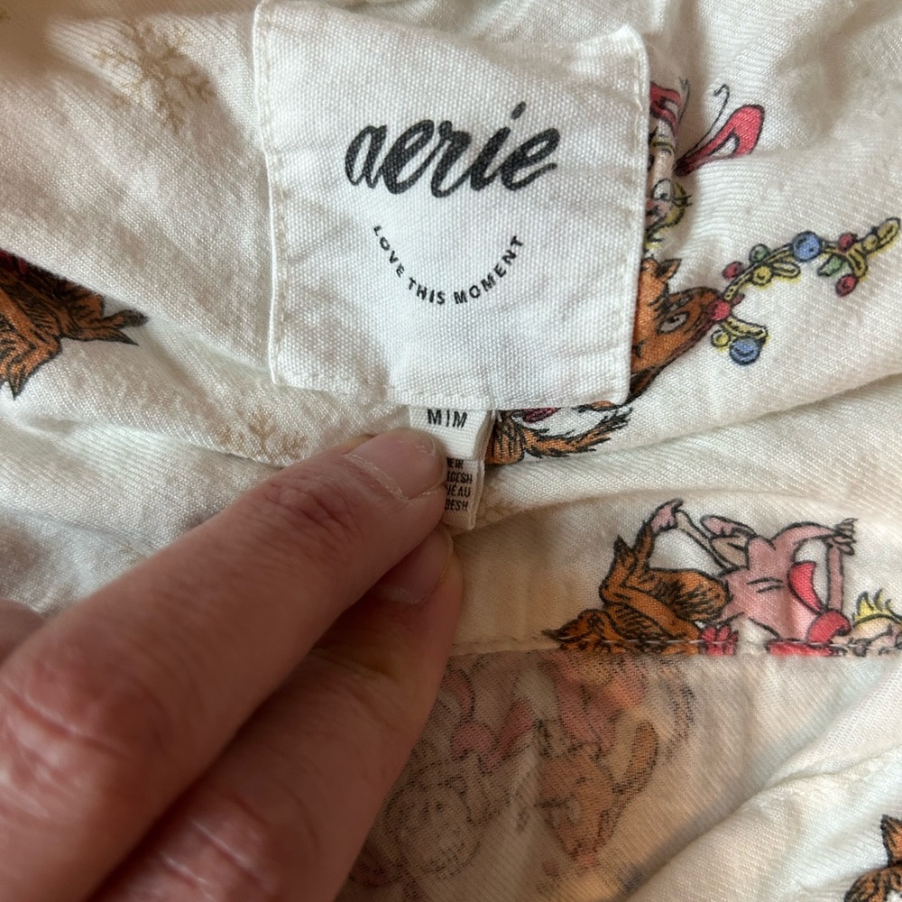 Aerie Grinch Cindy Lou flannel pajamas size medium Christmas holiday - Picture 2 of 8